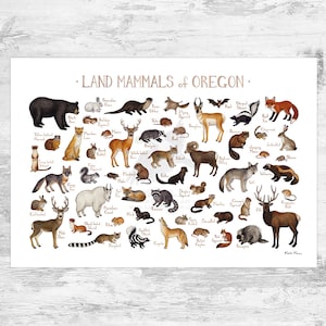 Oregon Land Mammals Field Guide Art Print  / Animals of Oregon / Watercolor Painting / Wall Art / Nature Print / Wildlife Poster
