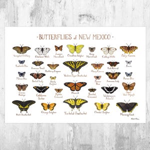 New Mexico Schmetterlinge Field Guide Art Print / Schmetterling Poster / Aquarell Malerei / Natur Print / Schmetterlinge Illustration
