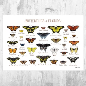 Impression d'art guide de terrain des papillons de Floride / Poster de papillons / Peinture à l'aquarelle / Art mural / Impression de la nature