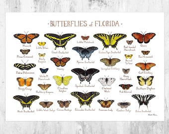 Florida Butterflies Field Guide Art Print / Butterfly Poster / Watercolor Painting / Wall Art / Nature Print