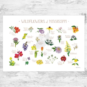 Guía de campo de flores silvestres de Mississippi Impresión de arte / Flores comunes de Mississippi / Cartel de plantas nativas de Mississippi