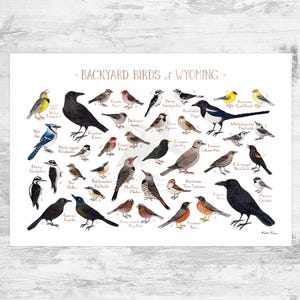 Impression d'art du guide de terrain des oiseaux du jardin du Wyoming / Impression de peinture aquarelle / Art mural observation des oiseaux / Impression de la nature / Poster d'oiseaux