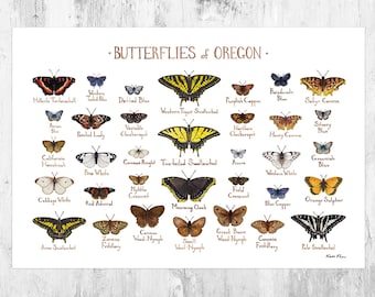 Oregon Butterflies Field Guide Art Print / Butterfly Poster / Watercolor Painting / Wall Art / Nature Print