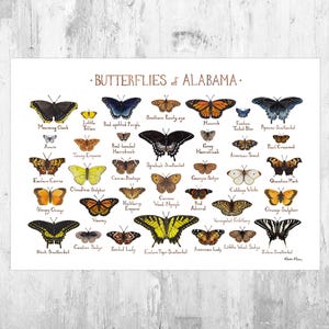 Alabama Butterflies Field Guide Art Print / Butterfly Poster / Watercolor Painting / Wall Art / Nature Print