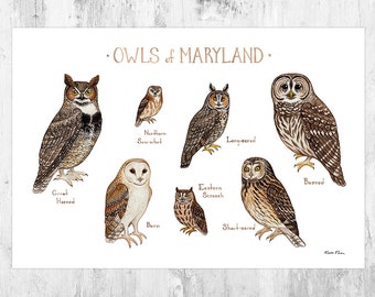 Impression d'art du Maryland Owls Field Guide / Aquarelle / Art mural / Impression de la nature / Poster d'oiseaux de proie