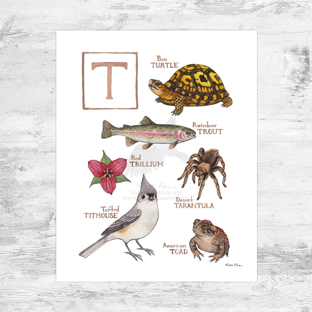 T Nature Sign Letter