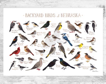 Nebraska Backyard Birds Field Guide Art Print / Watercolor Painting Print / Birdwatching Wall Art / Nature Print / Bird Poster