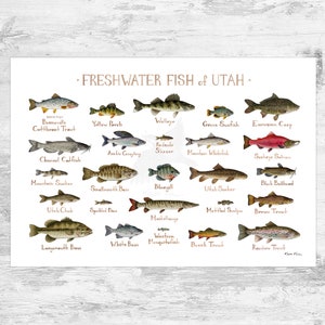Utah Freshwater Fish Field Guide Art Print / Fish Nature Study Poster