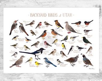 Utah Backyard Birds Field Guide Art Print / Watercolor Painting Print / Birdwatching Wall Art / Nature Print / Bird Poster