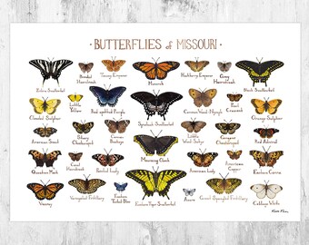 Missouri Butterflies Field Guide Art Print / Butterfly Poster / Watercolor Painting / Wall Art / Nature Print