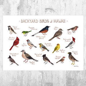 Hawaii Backyard Birds Field Guide Art Print / Watercolor Painting Print / Birdwatching Wall Art / Nature Print / Bird Poster