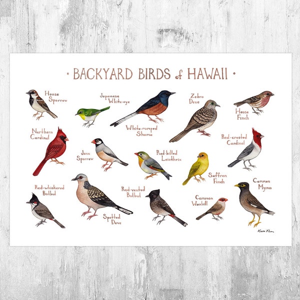 Hawaii Backyard Birds Field Guide Art Print / Watercolor Painting Print / Birdwatching Wall Art / Nature Print / Bird Poster