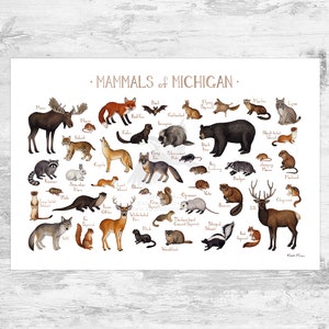 Michigan Mammals Field Guide Art Print  / Animals of Michigan / Watercolor Painting / Wall Art / Nature Print / Wildlife Poster