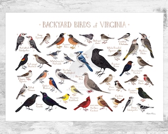 Virginia Backyard Birds Field Guide Art Print / Watercolor Painting Print / Birdwatching Wall Art / Nature Print / Bird Poster