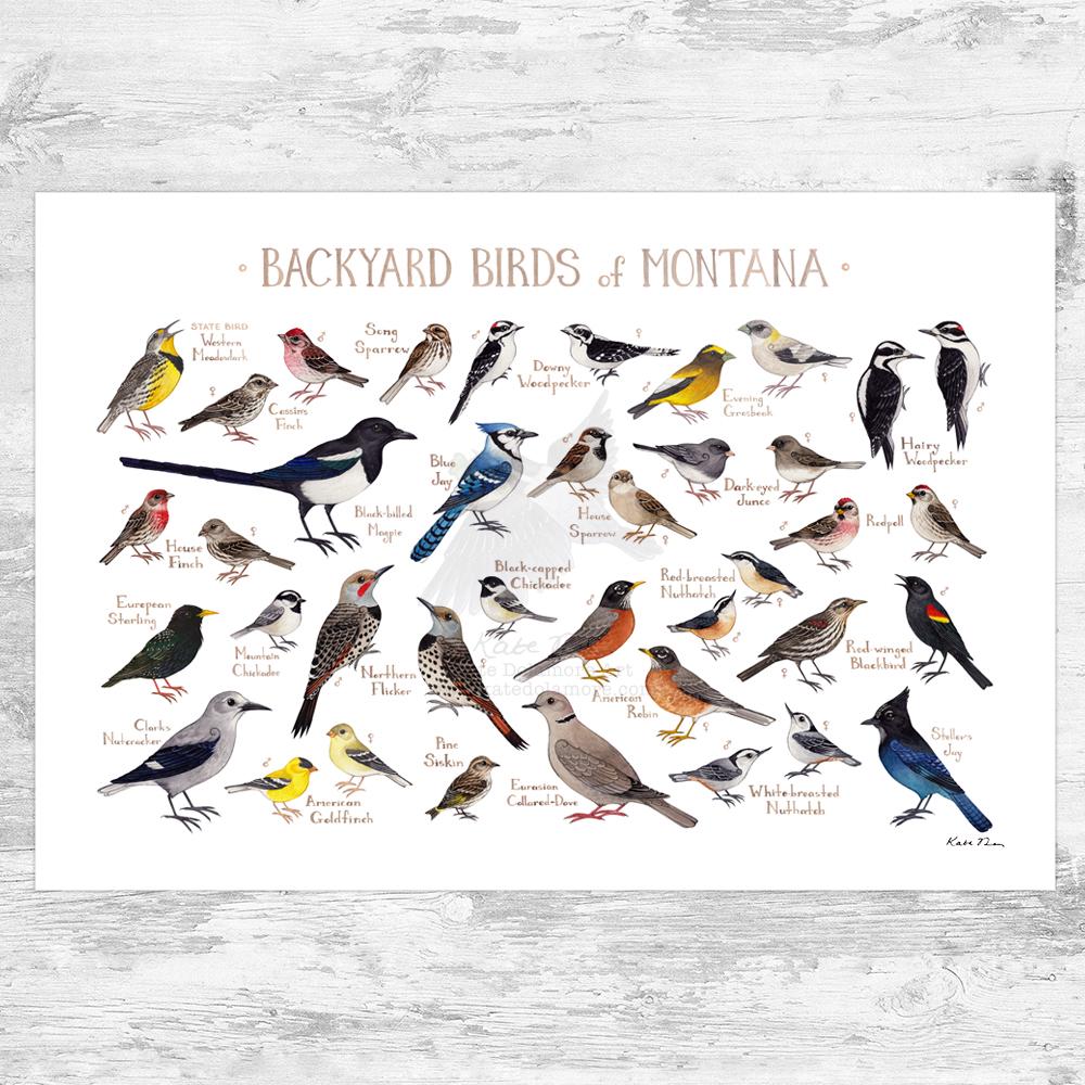 BIRD SHEET 15個セット BIRD SHEET 15個セット【公式通販】