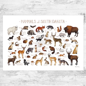 South Dakota Mammals Field Guide Art Print  / Animals of South Dakota / Watercolor Painting / Wall Art / Nature Print / Wildlife Poster