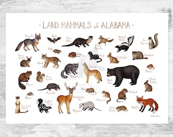 Alabama Land Mammals Field Guide Art Print  / Animals of Alabama / Watercolor Painting / Wall Art / Nature Print / Wildlife Poster