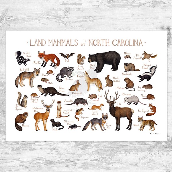 North Carolina Print - Etsy
