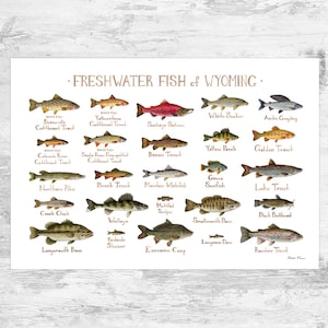 Wyoming Freshwater Fish Field Guide Art Print / Fish Nature Study Poster