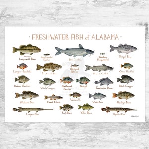 Impression d'art du guide des poissons d'eau douce de l'Alabama/affiche d'étude de la nature des poissons