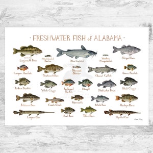 Alabama Freshwater Fish Field Guide Art Print / Fish Nature Study Poster