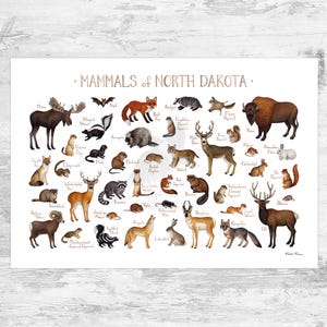 North Dakota Mammals Field Guide Art Print  / Animals of North Dakota / Watercolor Painting / Wall Art / Nature Print / Wildlife Poster