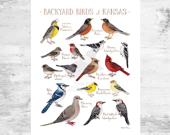 comings SONGBIRDS 7inch 歌詞カード付き Zegana, Utopian Speaker SIMIC Commander Deck Evolve Adapt EDH MTG