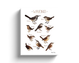 Wrens of North America Ready To Hang Canvas Print / Wrapped Canvas Birdwatching Field Guide Wall Art