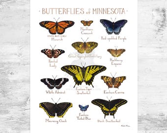 Minnesota Butterflies Field Guide Art Print Mini 8x10 - Etsy Canada
