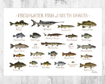 South Dakota Freshwater Fish Field Guide Art Print / Fish Nature Study Poster