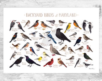 Maryland Backyard Birds Field Guide Art Print / Watercolor Painting Print / Birdwatching Wall Art / Nature Print / Bird Poster