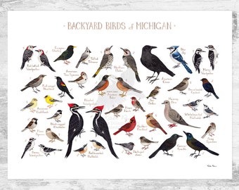 Backyard Birds of Michigan Art Print / Watercolor Painting / Nature ...