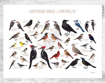 Michigan Backyard Birds Field Guide Art Print / Watercolor Painting Print / Birdwatching Wall Art / Nature Print / Bird Poster