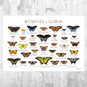 Impression d'art guide de terrain des papillons de Géorgie / Poster papillon / Peinture à l'aquarelle / Art mural / Impression de la nature