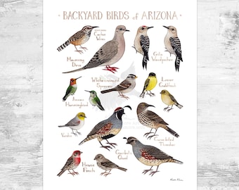 BIRD SHEET 15個セット BIRD SHEET 15個セット【公式通販】