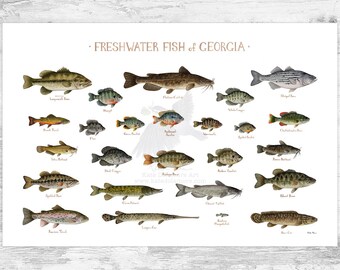 洋書　Freshwater Aquarium Fishes 淡水魚　大型本 洋書 Freshwater Aquarium Fishes 淡水魚 大型本 洋書