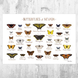 Nevada Butterflies Field Guide Art Print / Butterfly Poster / Watercolor Painting / Wall Art / Nature Print