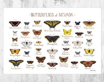 Nevada Butterflies Field Guide Art Print / Butterfly Poster / Watercolor Painting / Wall Art / Nature Print