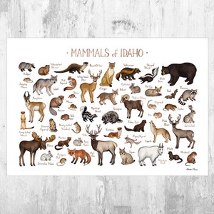 Idaho Mammals Field Guide Art Print  / Animals of Idaho / Watercolor Painting / Wall Art / Nature Print / Wildlife Poster