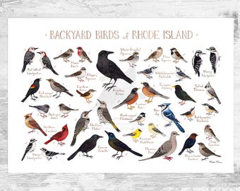 Rhode Island Backyard Birds Field Guide Art Print / Watercolor Painting Print / Birdwatching Wall Art / Nature Print / Bird Poster