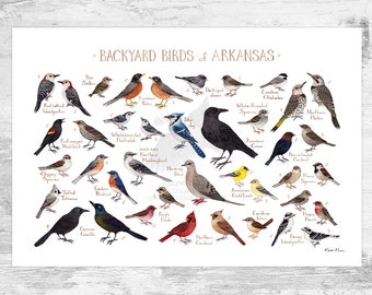 Arkansas Backyard Birds Field Guide Art Print / Watercolor Painting Print / Birdwatching Wall Art / Nature Print / Bird Poster