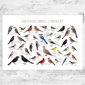 Guía de campo de aves de jardín de Missouri (impresión artística, impresión de acuarela, arte mural de observación de aves, impresión de naturaleza, póster de aves)