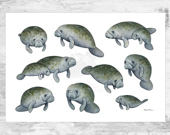 Manatees Signed Art Print / Florida Manatee Art / West Indian Manatee Nature Study / Cute Manatees Poster