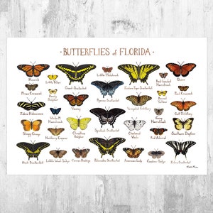 Florida Butterflies Field Guide Art Print / Butterfly Poster / Watercolor Painting / Wall Art / Nature Print