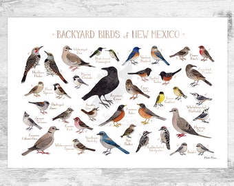 New Mexico Backyard Birds Field Guide Art Print / Watercolor Painting Print / Birdwatching Wall Art / Nature Print / Bird Poster