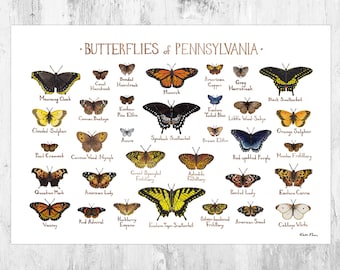 Pennsylvania Butterflies Field Guide Art Print / Butterfly Poster / Watercolor Painting / Wall Art / Nature Print