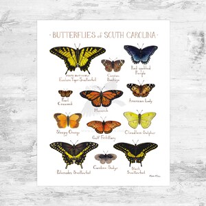 South Carolina Butterflies Field Guide Art Print Mini 8x10