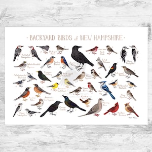 Guía de campo de aves de jardín de New Hampshire (impresión artística, impresión de acuarela, arte mural de observación de aves, impresión de naturaleza, póster de aves)