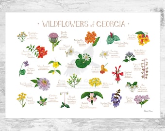 Georgia Wildflowers Field Guide Art Print / Common Flowers of Georgia / Georgia Native Plants Poster