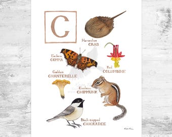 Letter &quot;C&quot; Nature Alphabet Art Print  / 8x10 Monogram Initial Wall Art